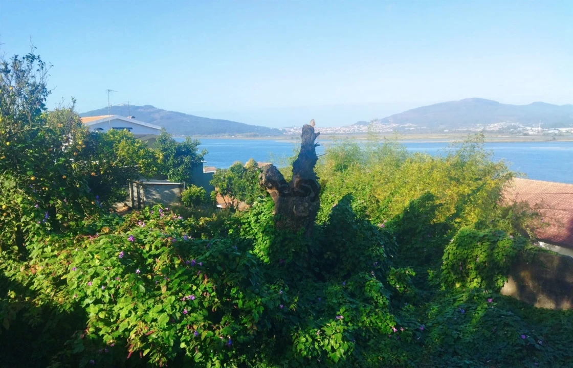 Terreno para Venda em Seixas Foto 3