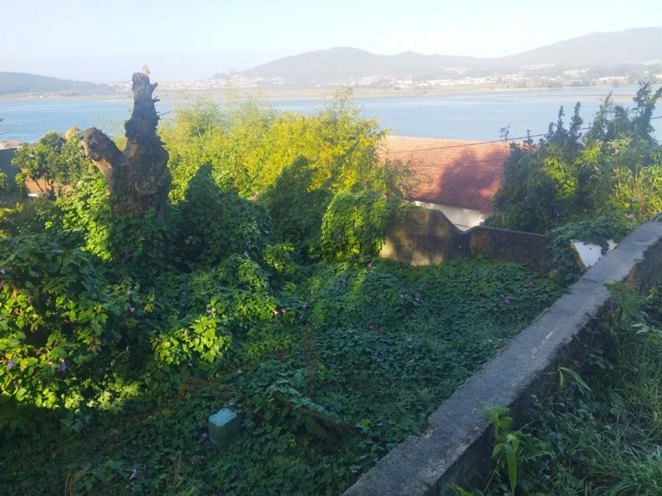 Terreno para Venda em Seixas Foto 4