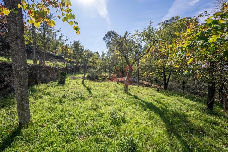 Moradia T2 para Venda em Souto Santa Maria, Souto São Salvador e Gondomar Foto 15