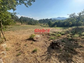 Terreno para Venda em Queirã