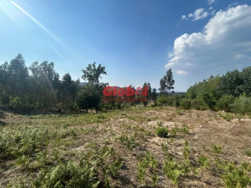 Terreno para Venda em Queirã