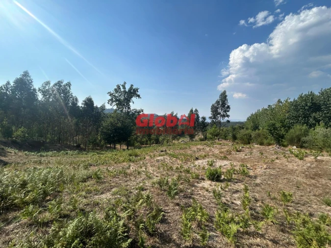 Terreno para Venda em Queirã Foto 3