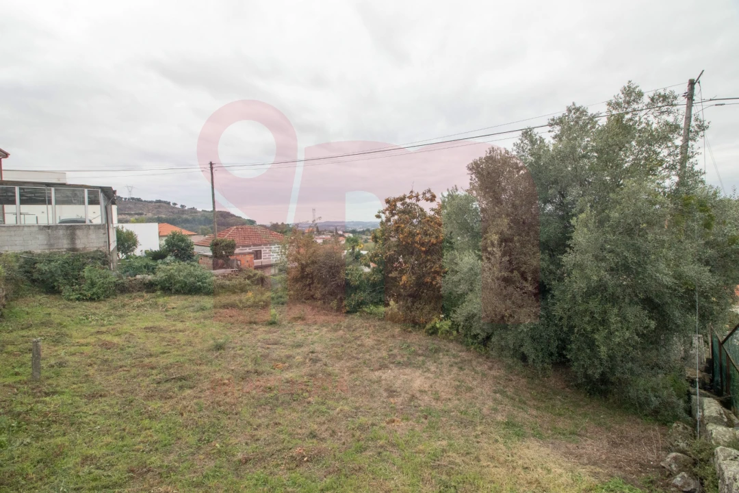 Terreno para Venda em Roriz Foto 8