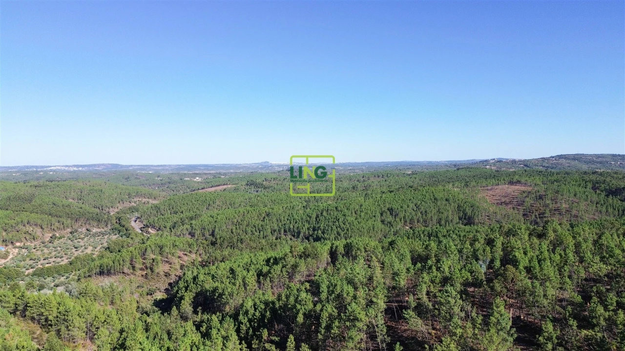 Terreno Agricola ou Rústico para Venda em Sarzedas Foto 1