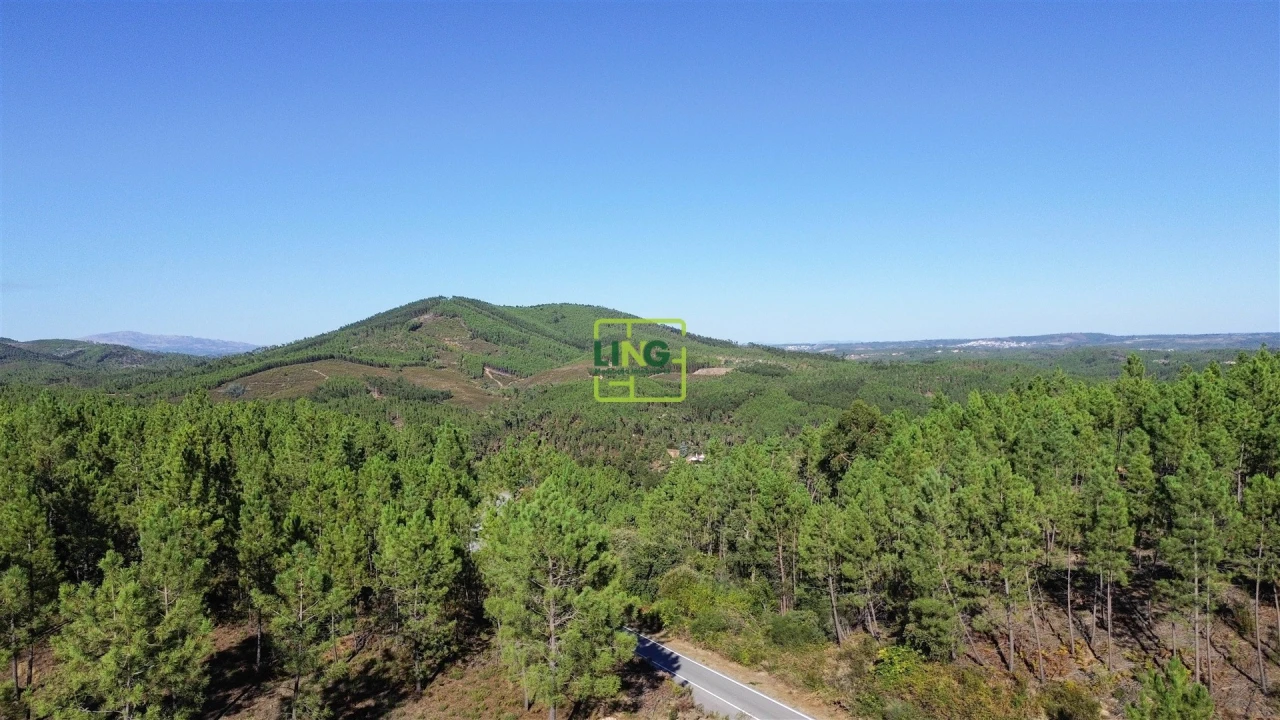 Terreno Agricola ou Rústico para Venda em Sarzedas Foto 23