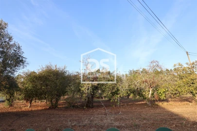 Terreno para Venda em Mortágua, Vale de Remígio, Cortegaça e Almaça