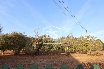 Terreno para Venda em Mortágua, Vale de Remígio, Cortegaça e Almaça