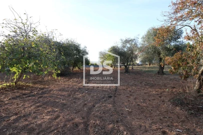 Terreno para Venda em Mortágua, Vale de Remígio, Cortegaça e Almaça