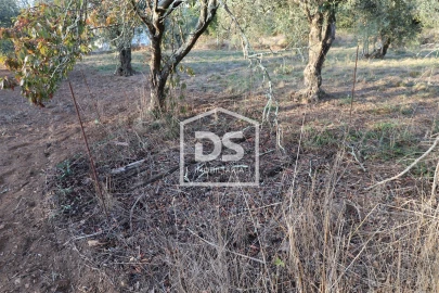 Terreno para Venda em Mortágua, Vale de Remígio, Cortegaça e Almaça