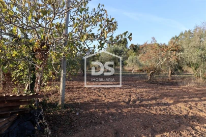 Terreno para Venda em Mortágua, Vale de Remígio, Cortegaça e Almaça