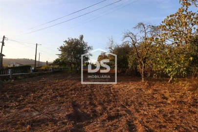 Terreno para Venda em Mortágua, Vale de Remígio, Cortegaça e Almaça
