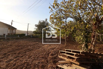 Terreno para Venda em Mortágua, Vale de Remígio, Cortegaça e Almaça