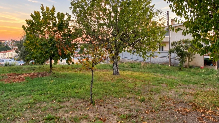Moradia T4 para Venda em Orgens
