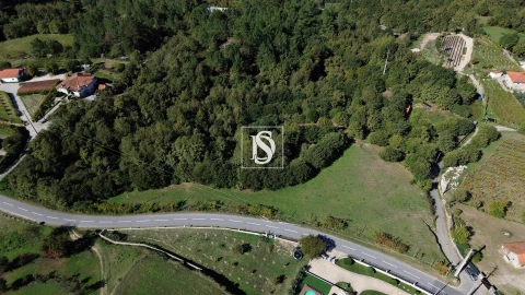 Terreno para Venda em Gouveia (São Simão)