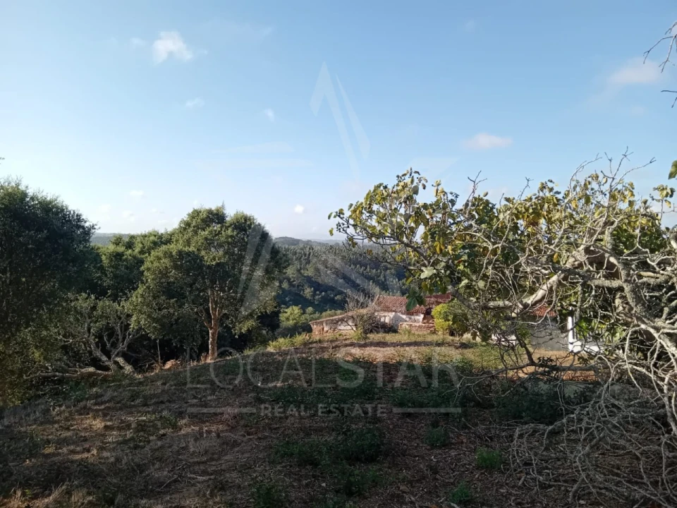 Moradia para Venda em Salir de Matos Foto 35