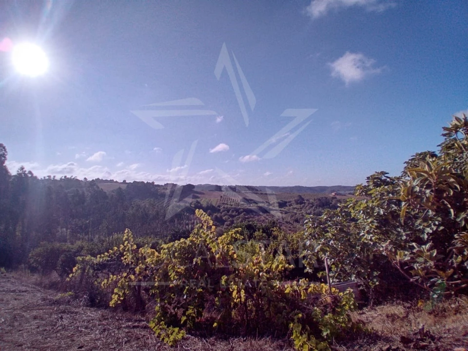 Moradia para Venda em Salir de Matos Foto 38