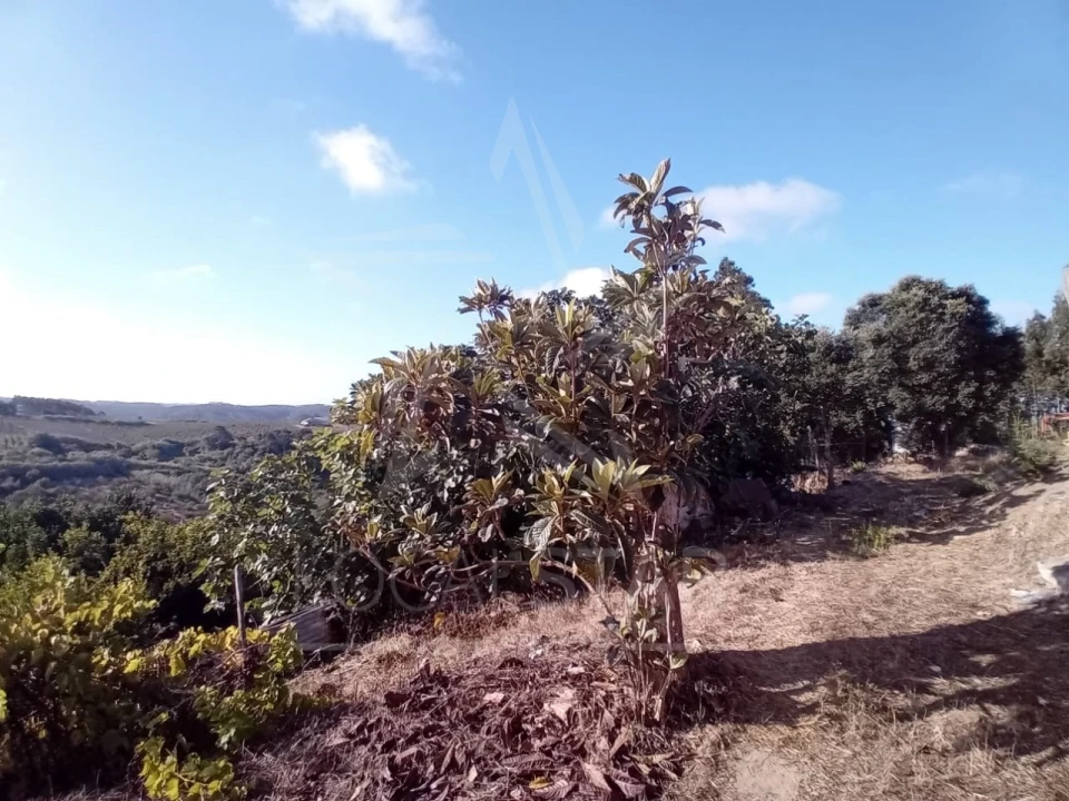 Moradia para Venda em Salir de Matos Foto 39