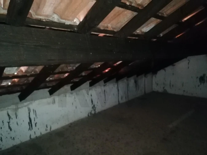Moradia T2 para Venda em São Miguel do Rio Torto e Rossio Ao Sul do Tejo Foto 29
