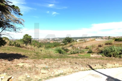 Terreno para Venda em Mafra