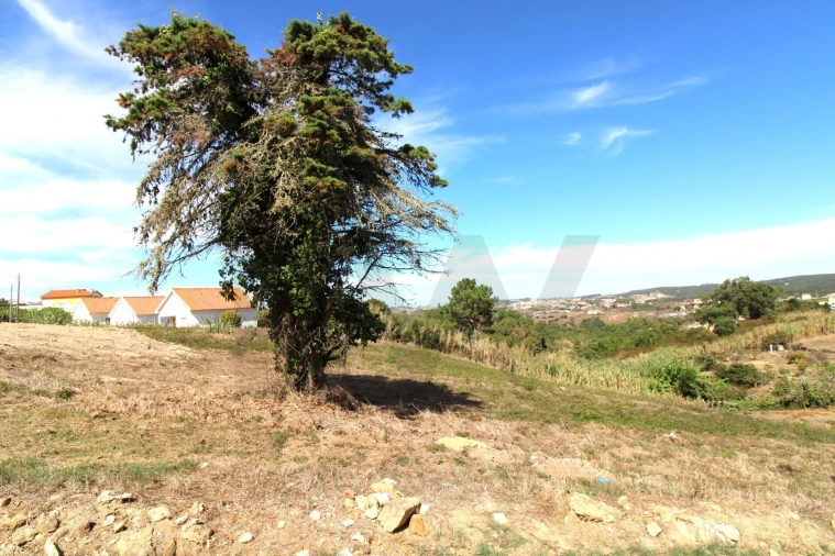 Terreno para Venda em Mafra Foto 8