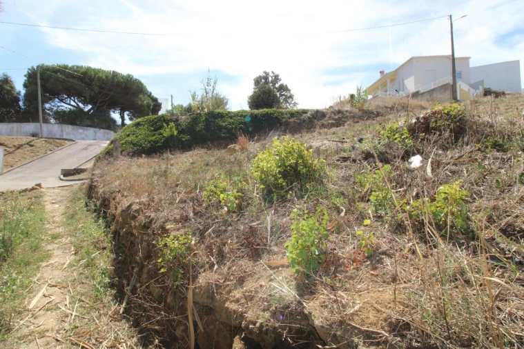 Terreno para Venda em Mafra Foto 11