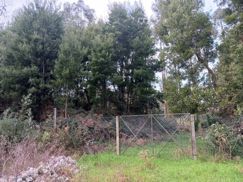 Terreno para Venda em Fornos Foto 3
