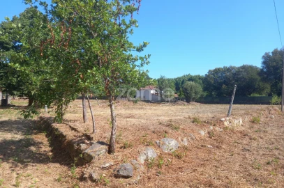 Quinta T2 para Venda em Couto de Baixo e Couto de Cima