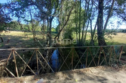 Quinta T2 para Venda em Couto de Baixo e Couto de Cima