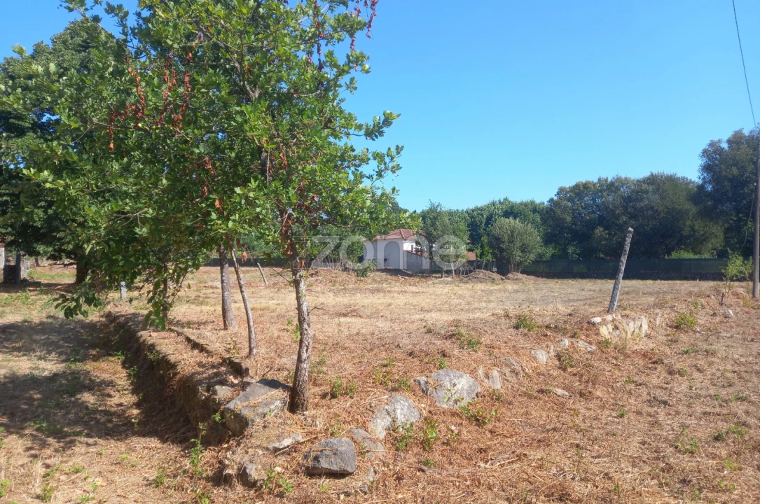 Quinta T2 para Venda em Couto de Baixo e Couto de Cima Foto 5