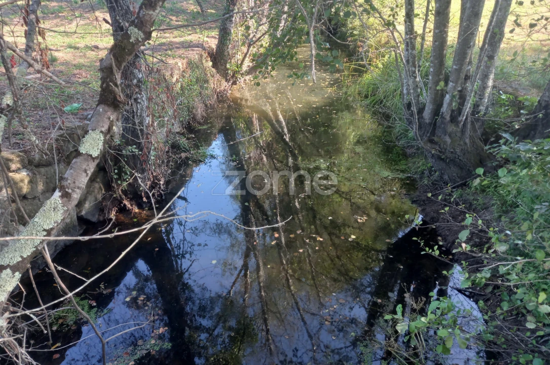 Quinta T2 para Venda em Couto de Baixo e Couto de Cima Foto 25