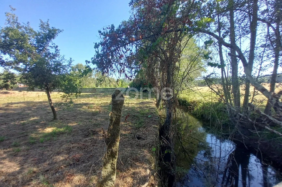 Quinta T2 para Venda em Couto de Baixo e Couto de Cima Foto 28