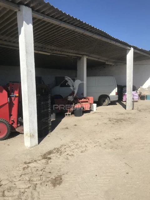 Quinta T3 para Venda em Samora Correia