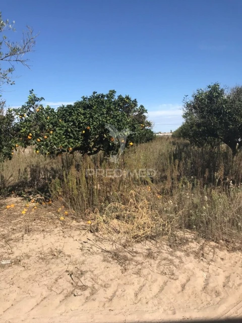 Quinta T3 para Venda em Samora Correia