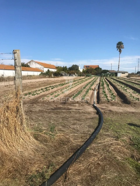 Quinta T3 para Venda em Samora Correia