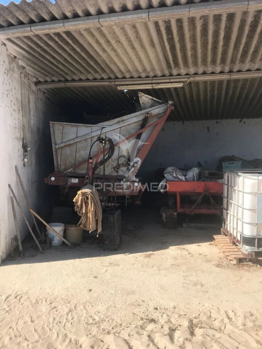 Quinta T3 para Venda em Samora Correia Foto 16