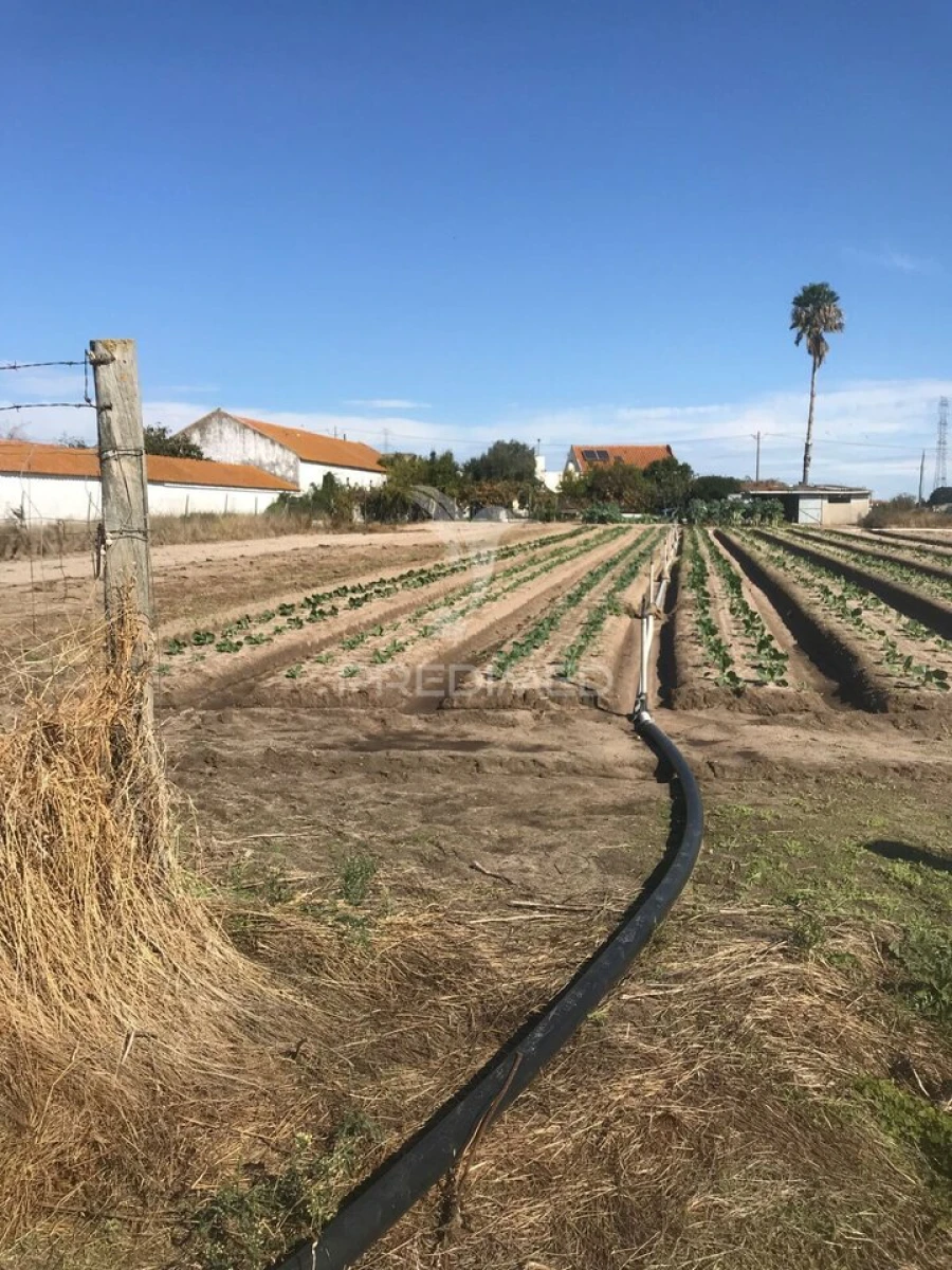 Quinta T3 para Venda em Samora Correia Foto 21