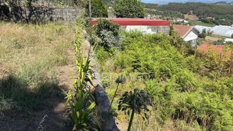 Terreno para Venda em Airão Santa Maria, Airão São João e Vermil