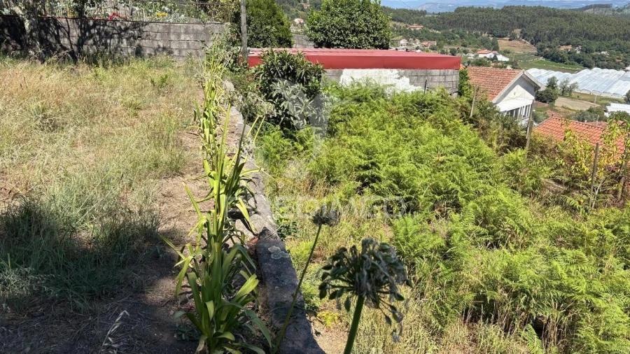 Terreno para Venda em Airão Santa Maria, Airão São João e Vermil Foto 4