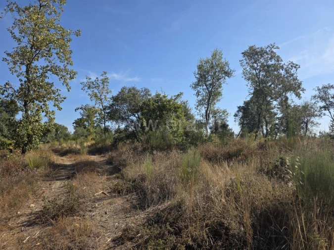 Terreno para Venda em Alpedrinha Foto 6