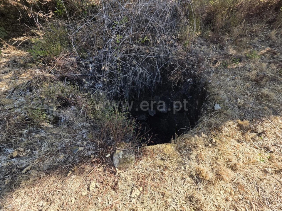 Terreno para Venda em Alpedrinha Foto 3