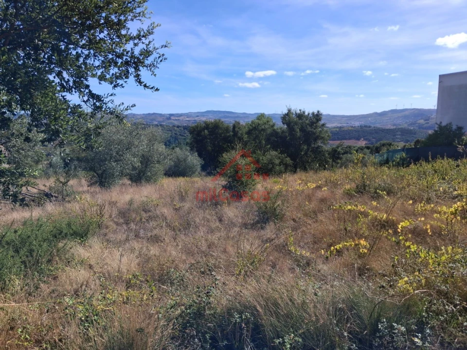 Terreno para Venda em Carvoeira e Carmões Foto 2