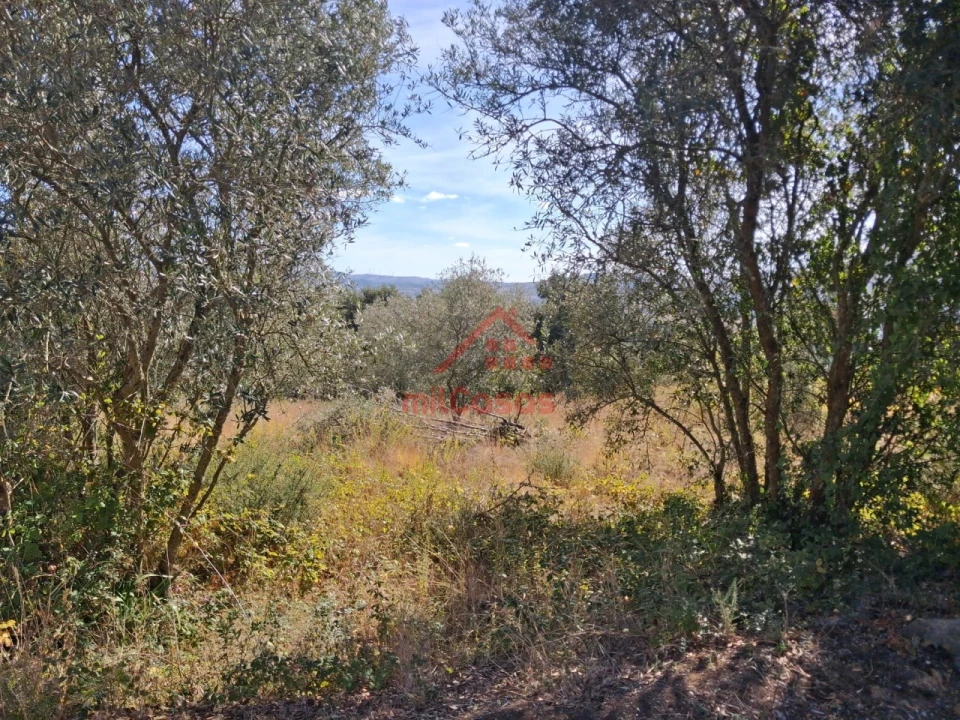 Terreno para Venda em Carvoeira e Carmões Foto 3
