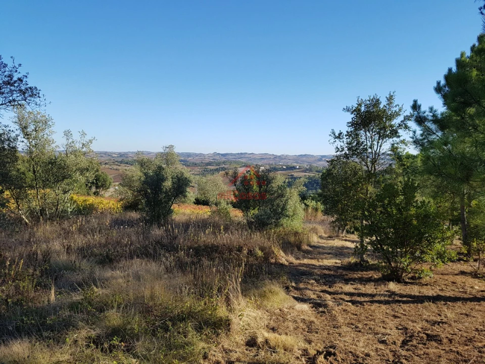 Terreno para Venda em Carvoeira e Carmões Foto 5
