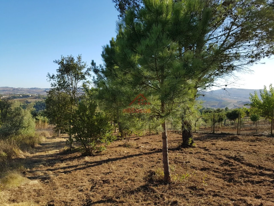Terreno para Venda em Carvoeira e Carmões Foto 6