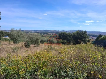 Terreno para Venda em Carvoeira e Carmões