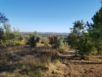 Terreno para Venda em Carvoeira e Carmões