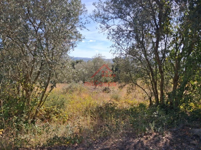 Terreno para Venda em Carvoeira e Carmões Foto 3