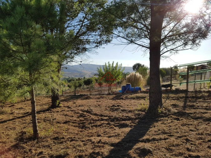 Terreno para Venda em Carvoeira e Carmões Foto 7