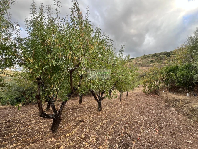 Quinta T0 para Venda em Cerejais Foto 4