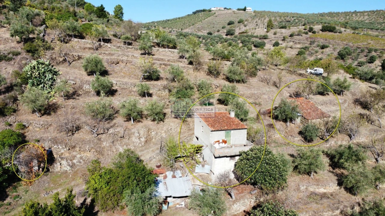 Quinta para Venda em Freixo de Espada a Cinta e Mazouco Foto 9